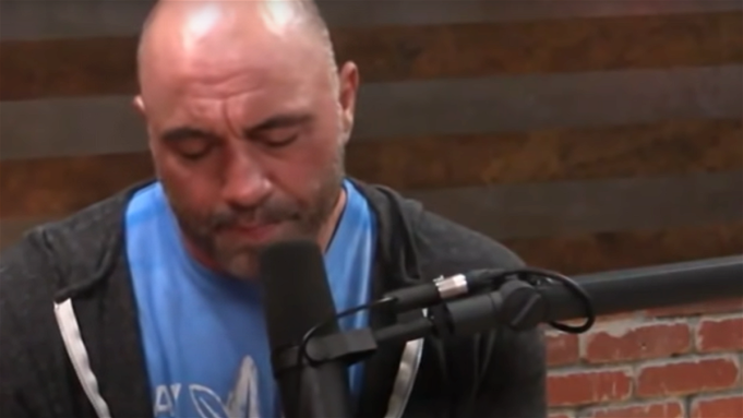 “I’ve Never Been Knocked Out Like That…”: After Blaming Fear of Injuries As the Reason for His Early Kickboxing Retirement, Joe Rogan Reveals the Brutal KO Which Made Him Leave the Sport
