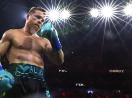 Canelo Alvarez next fight: Undisputed champion to face Edgar Berlanga ...